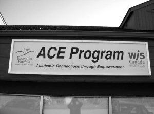 ACE Program